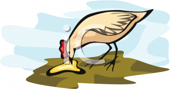 Farm Animal Clipart