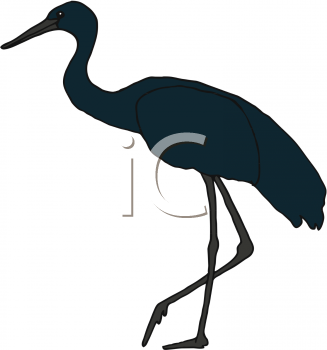 Bird Clipart