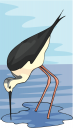 Bird Clipart