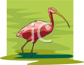 Bird Clipart