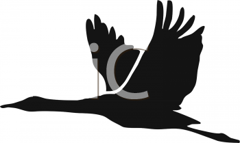 Insect Clipart