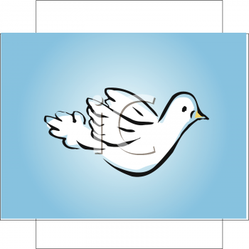 Insect Clipart