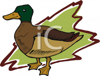 Bird Clipart