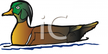 Bird Clipart