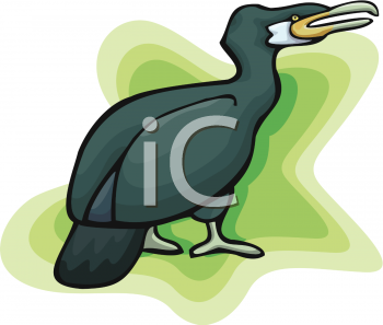 Bird Clipart