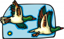 Bird Clipart