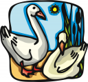 Bird Clipart