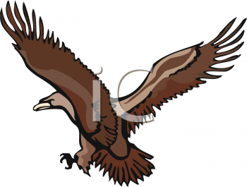 Insect Clipart