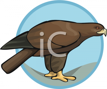 Bird Clipart
