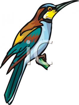 Bird Clipart