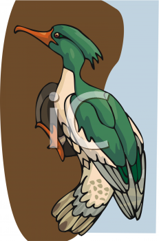 Fish and Sea Life Clipart