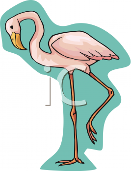 Bird Clipart