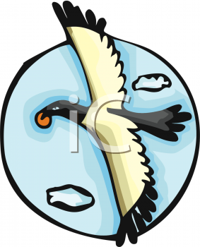 Bird Clipart