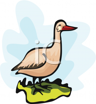 Bird Clipart