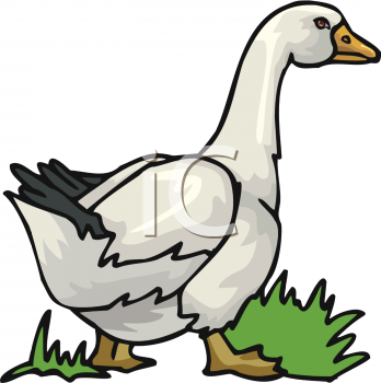 Farm Animal Clipart