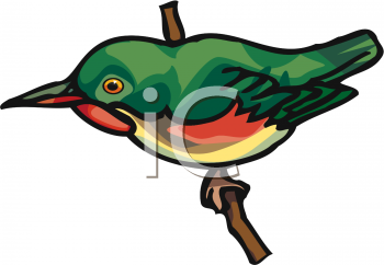Nature and Scenic Clipart