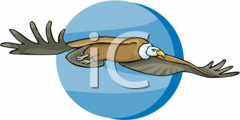 Bird Clipart