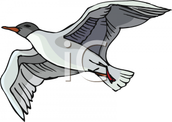 Bird Clipart