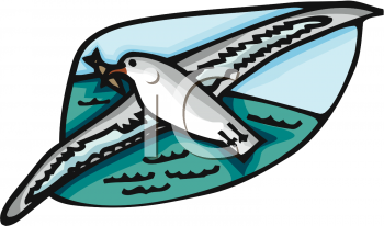 Bird Clipart