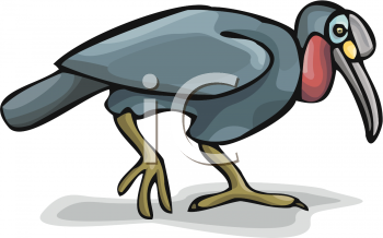 Bird Clipart