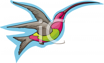 Bird Clipart