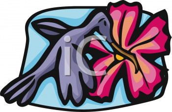 Bird Clipart