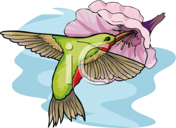 Bird Clipart