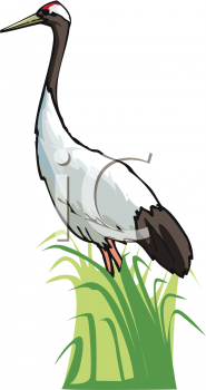 Bird Clipart