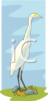 Bird Clipart
