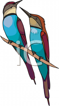 Bird Clipart