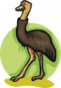 Bird Clipart