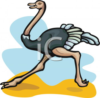 Bird Clipart