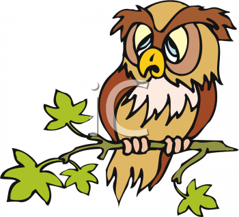 Bird Clipart