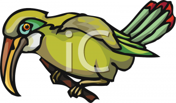 Bird Clipart