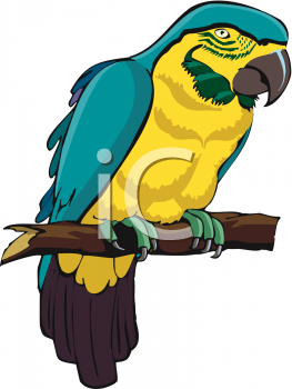 Bird Clipart
