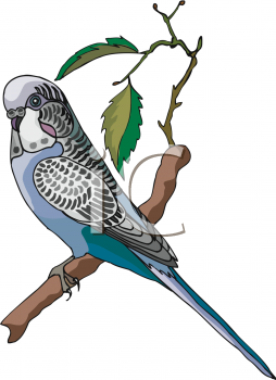 Mammal Clipart