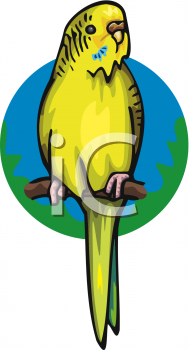 Mammal Clipart