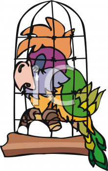 Bird Clipart