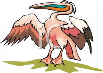Bird Clipart