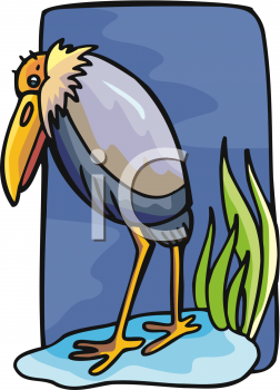 Bird Clipart