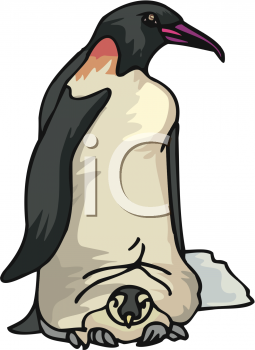 Bird Clipart