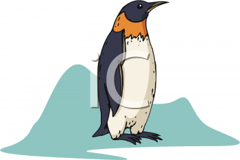 Bird Clipart