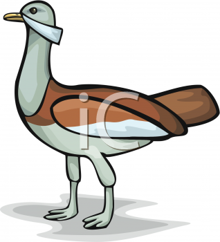 Bird Clipart