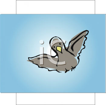 Insect Clipart