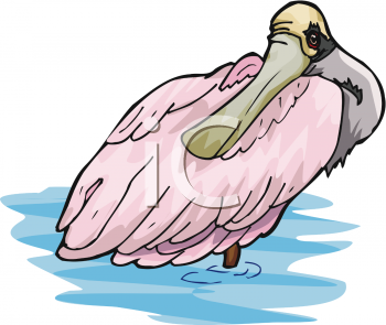 Bird Clipart