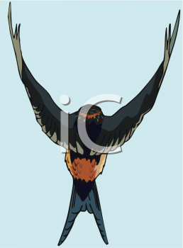 Bird Clipart