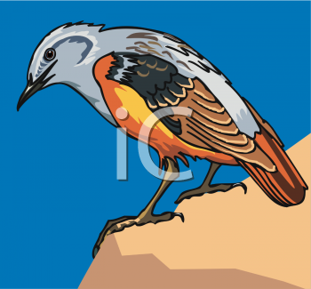 Bird Clipart