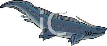 Fish and Sea Life Clipart