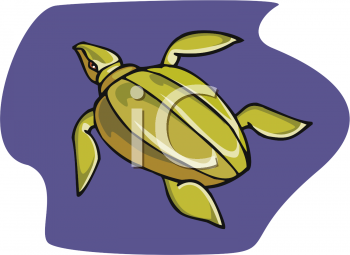 Reptile Clipart