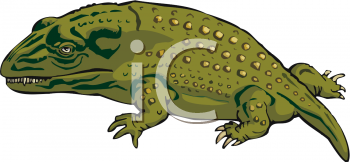 Reptile Clipart